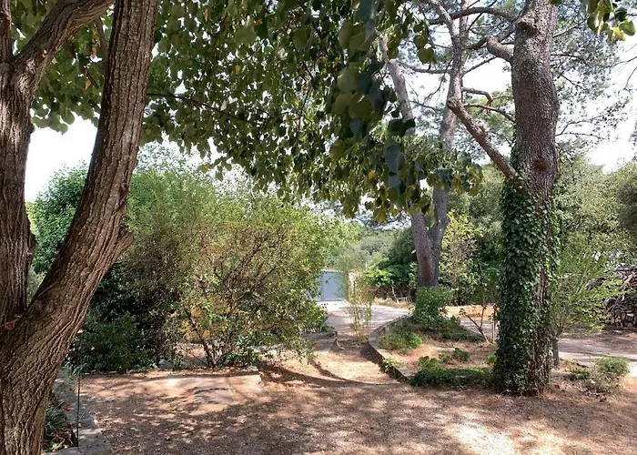 Holiday home Mazet Proche Golf