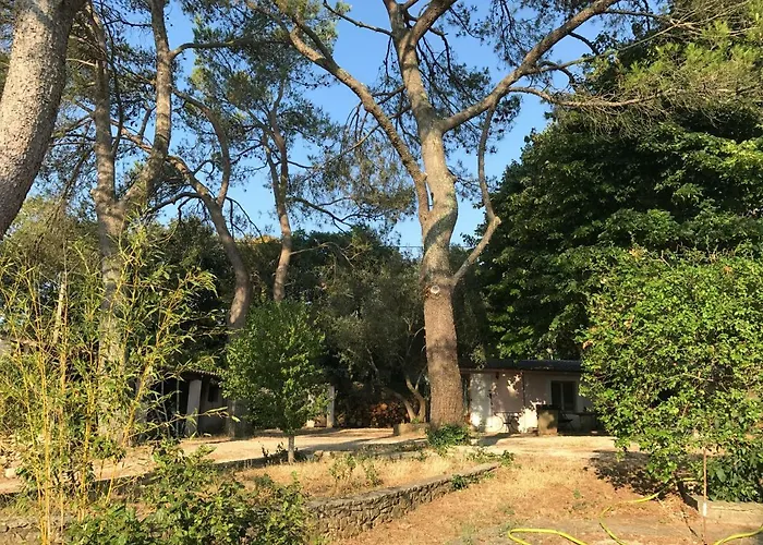 Holiday home Mazet Proche Golf